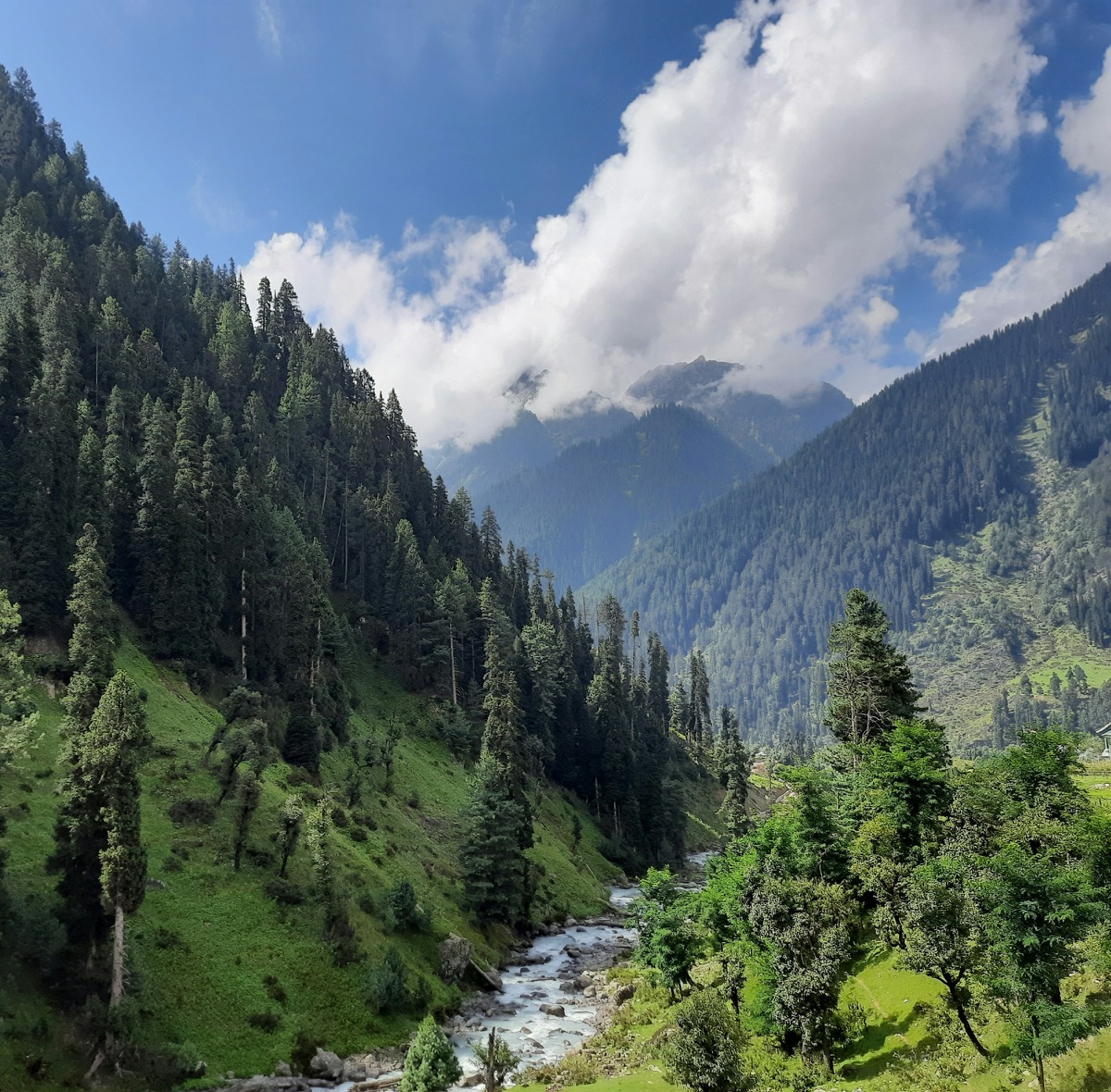 A river valley near Pahalgam with trees and mountains